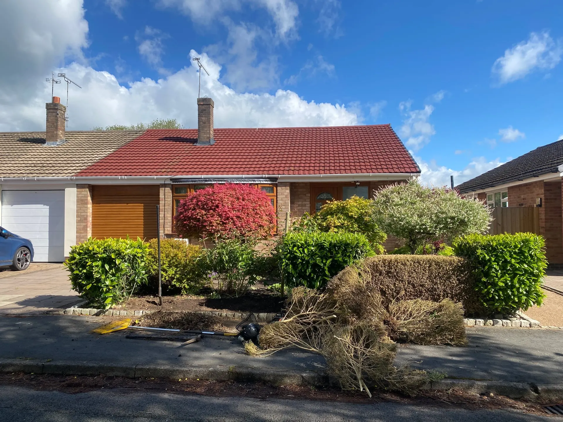 Dead and discoloured box hedge before removal in Stapeley
