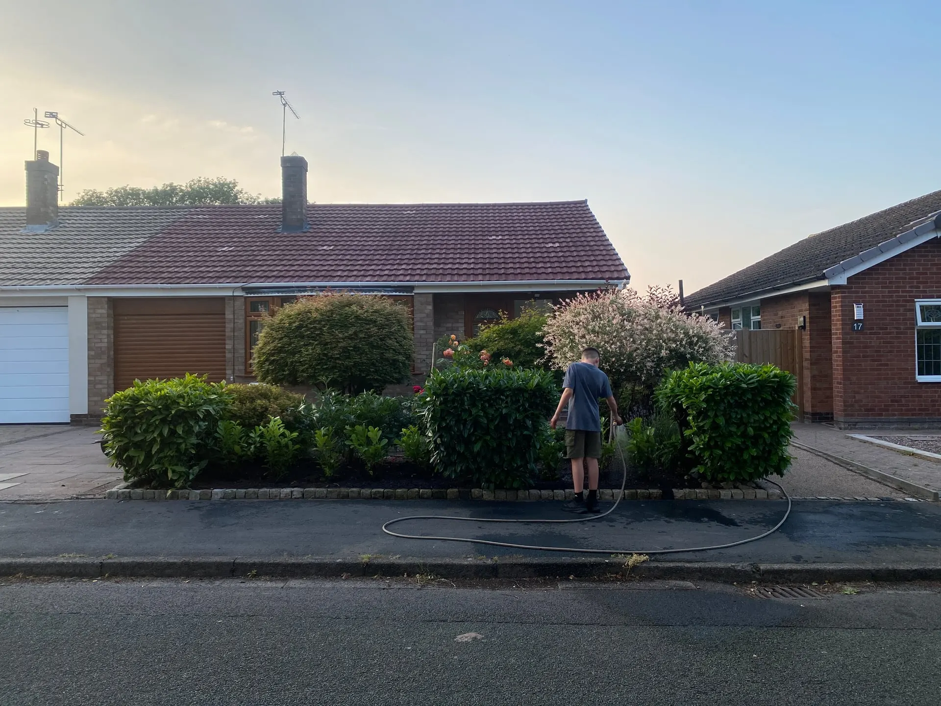 Stapeley border replanted after a diseased box hedge was removed
