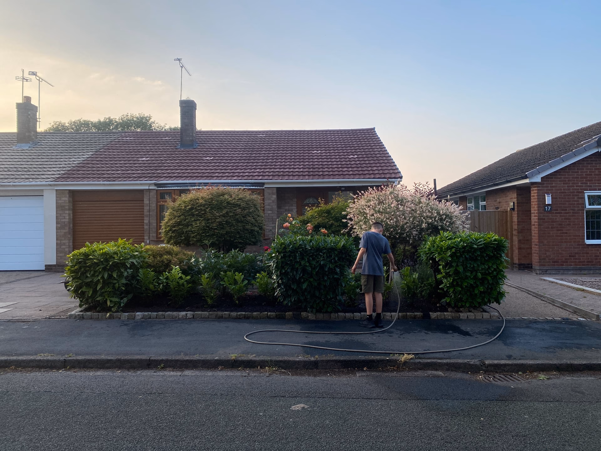 Stapeley border replanted after a diseased box hedge was removed