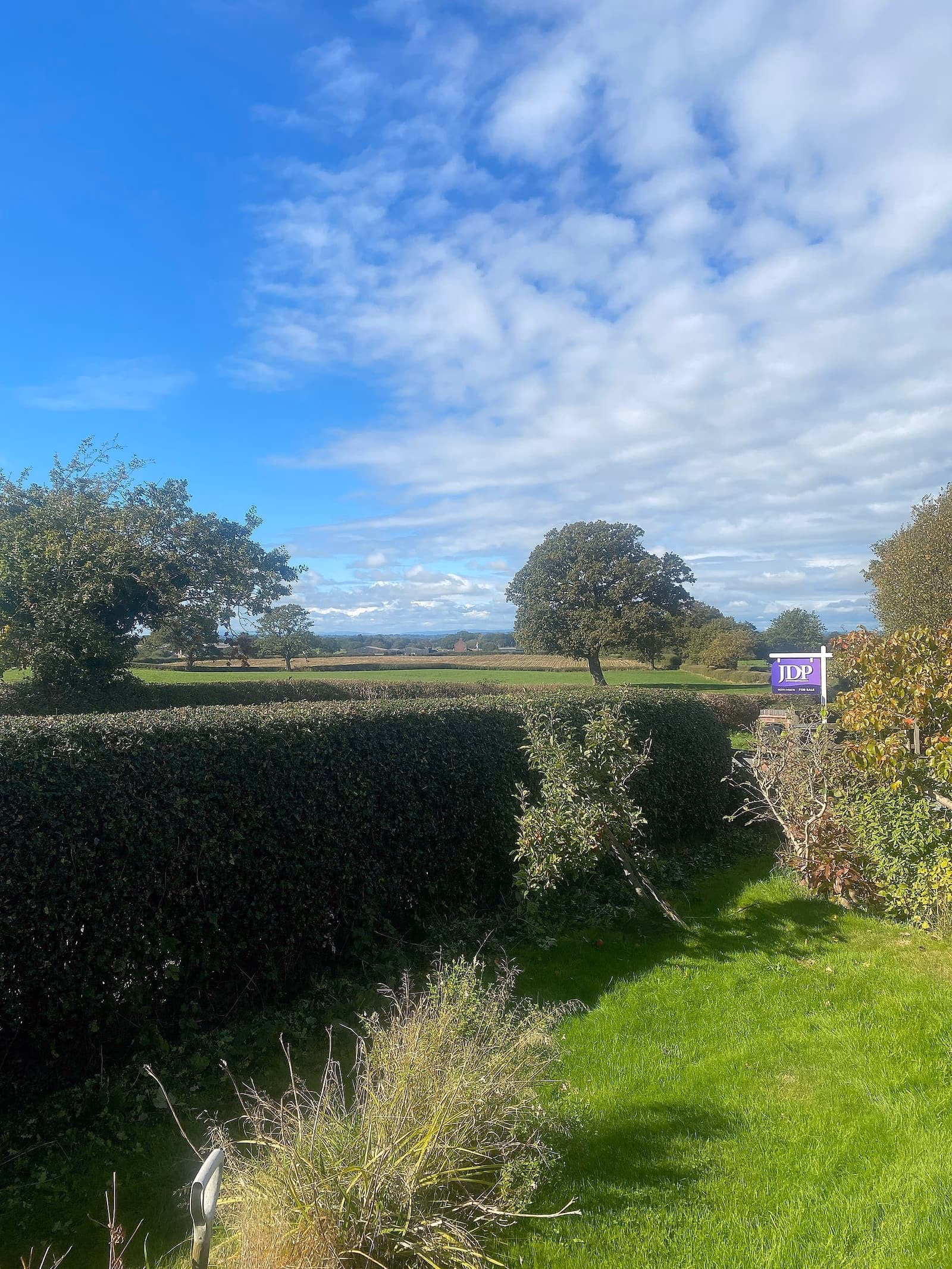 Neatly trimmed boundary hedge overlooking fields near Audlem