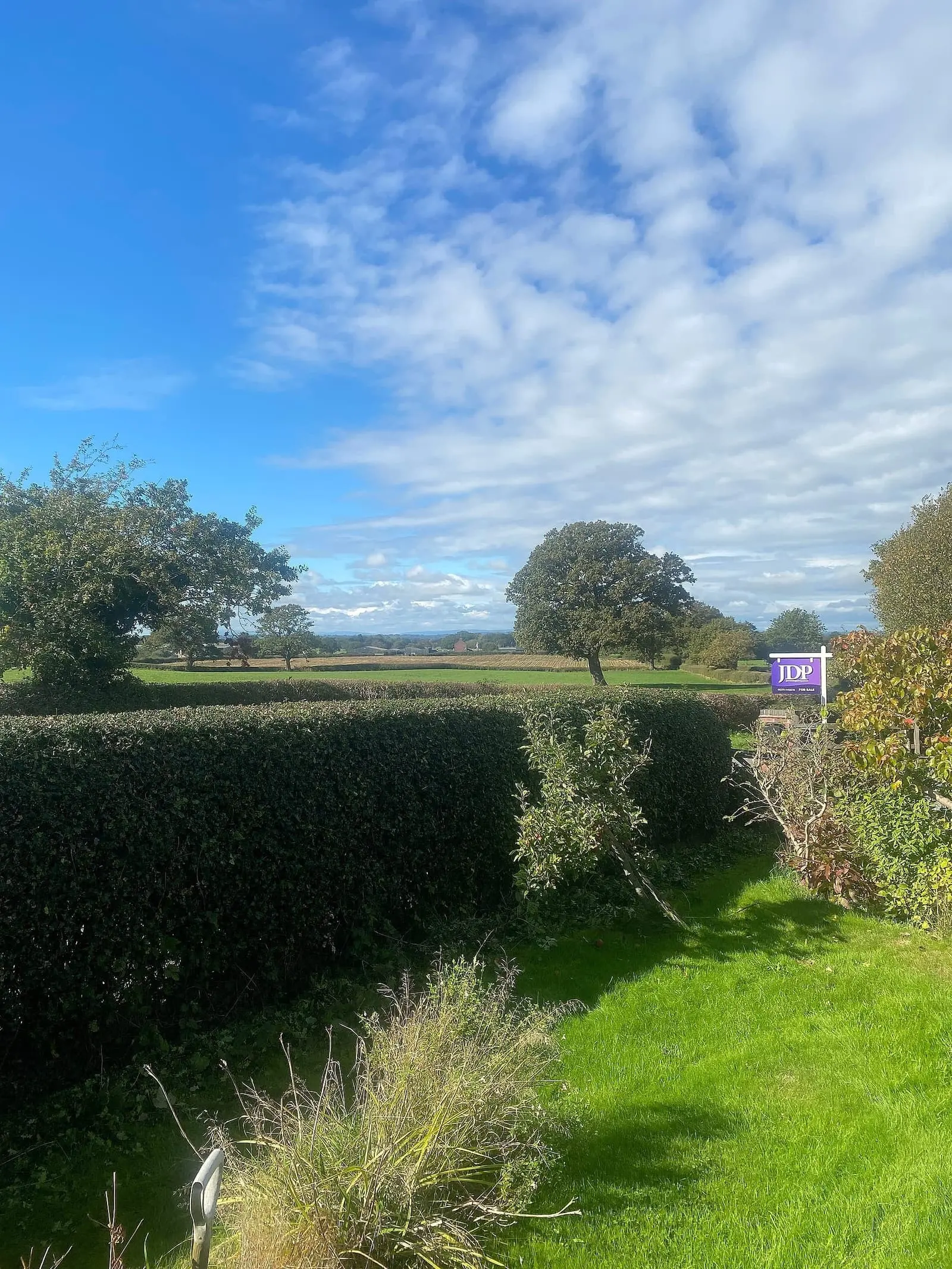 Evenly trimmed boundary hedge with the Cheshire fields beyond