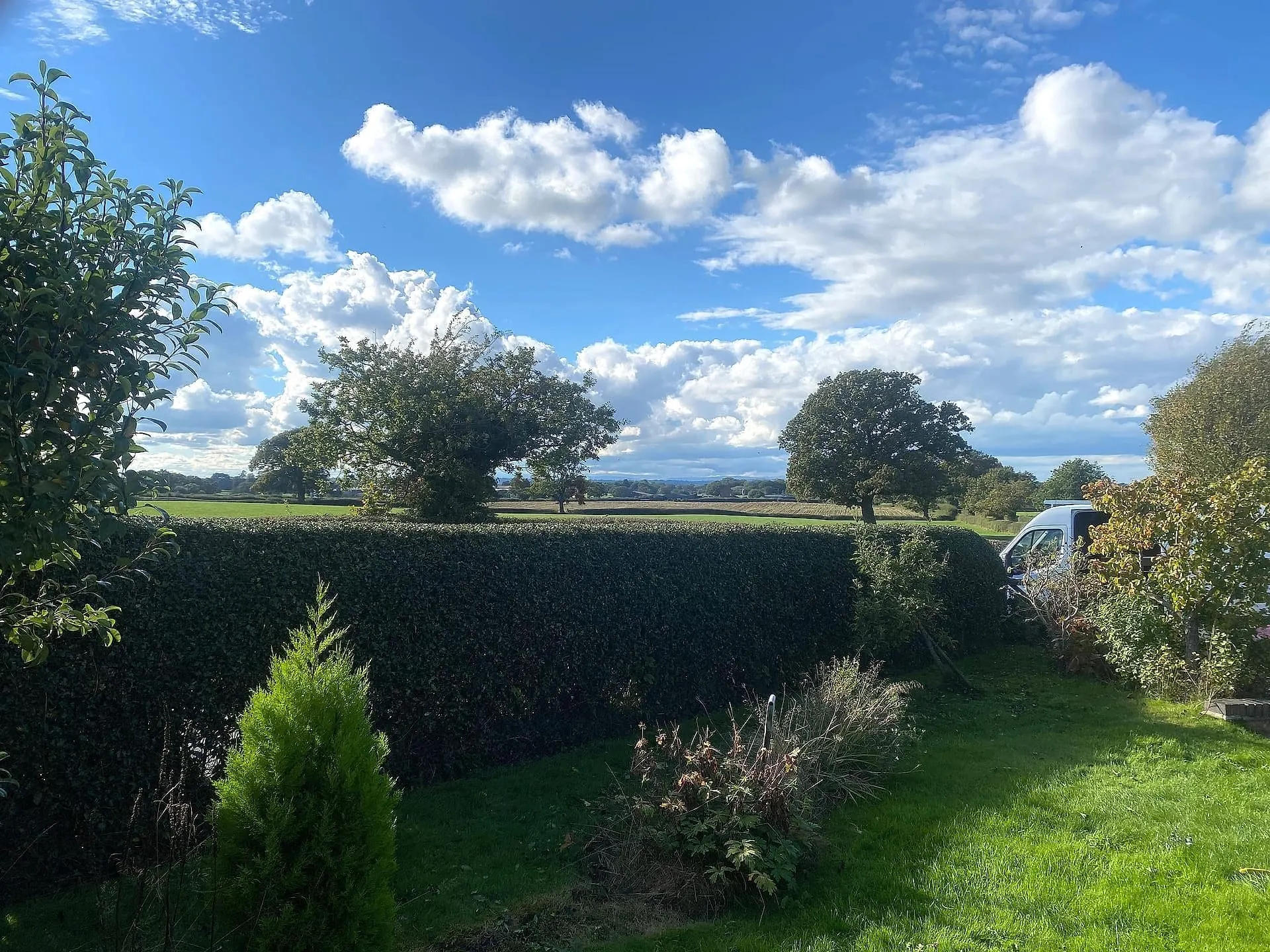 Finished Audlem boundary hedge with an even top and clear view over the fields