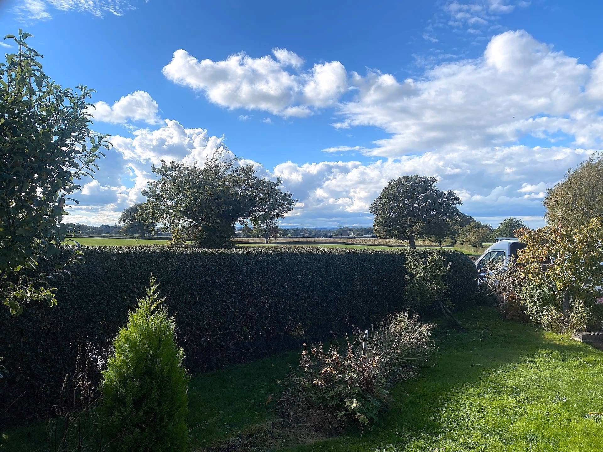 Finished boundary hedge framing open fields near Audlem