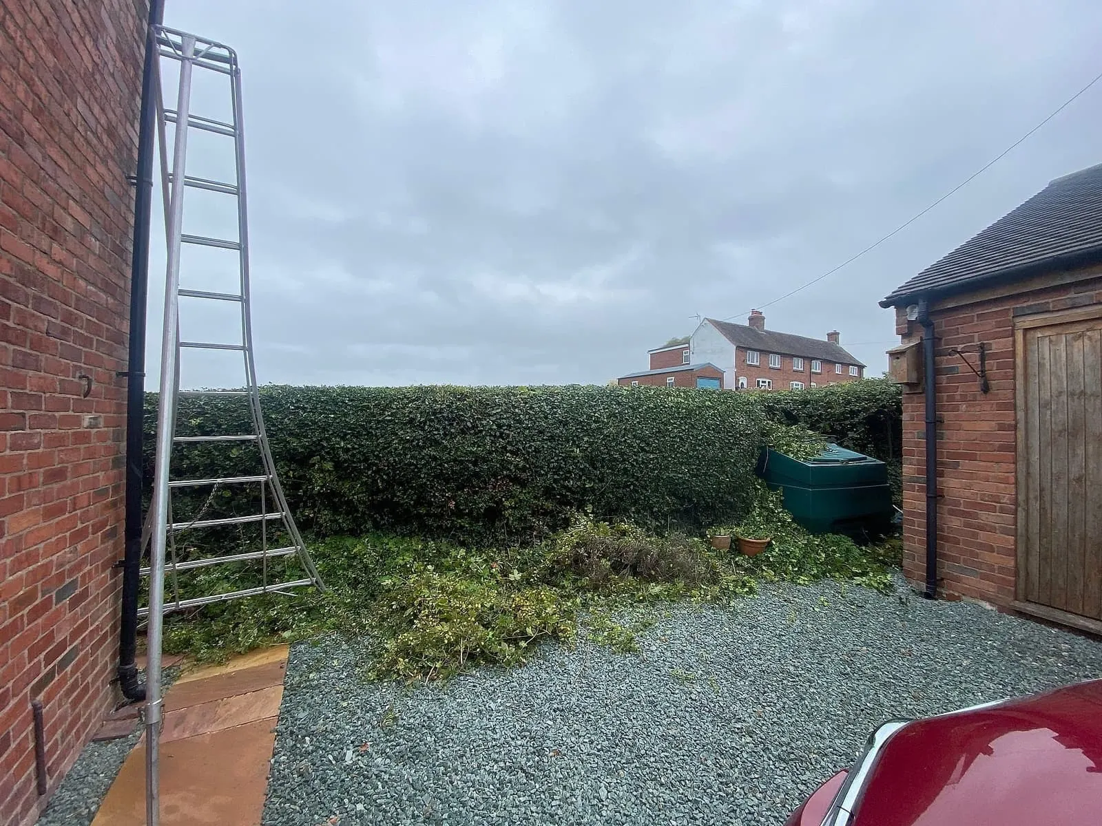 Boundary hedge trimming in progress with cut growth beside the hedge
