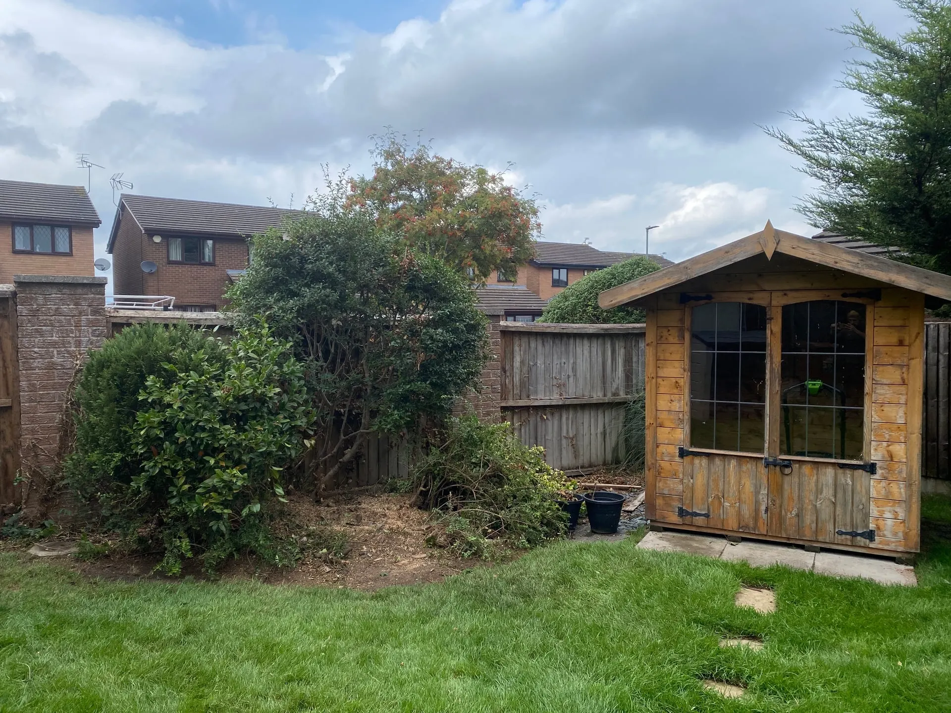 Leighton garden after a dead eucalyptus tree and its stump were removed