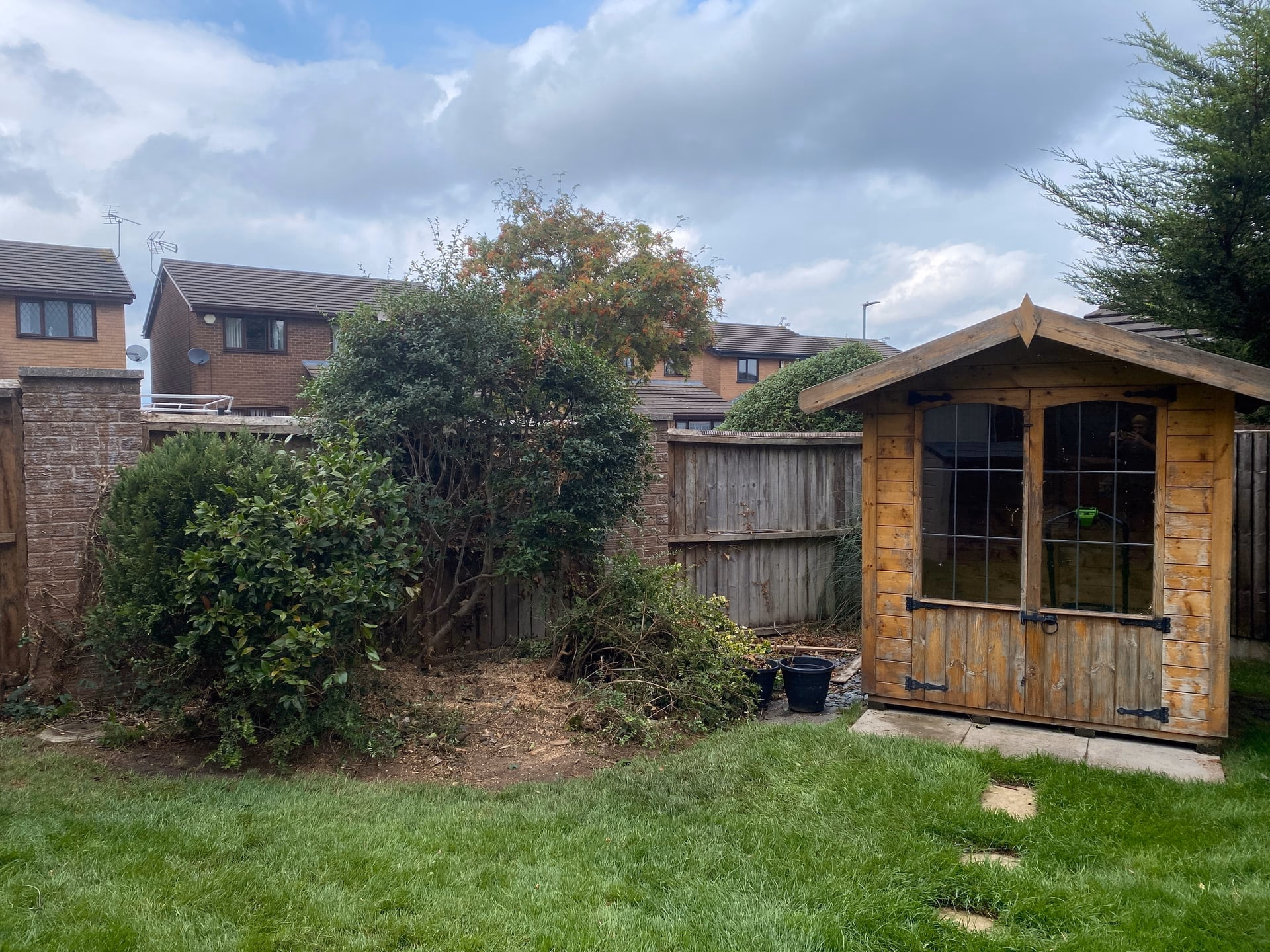 Leighton garden after a dead eucalyptus tree and its stump were removed