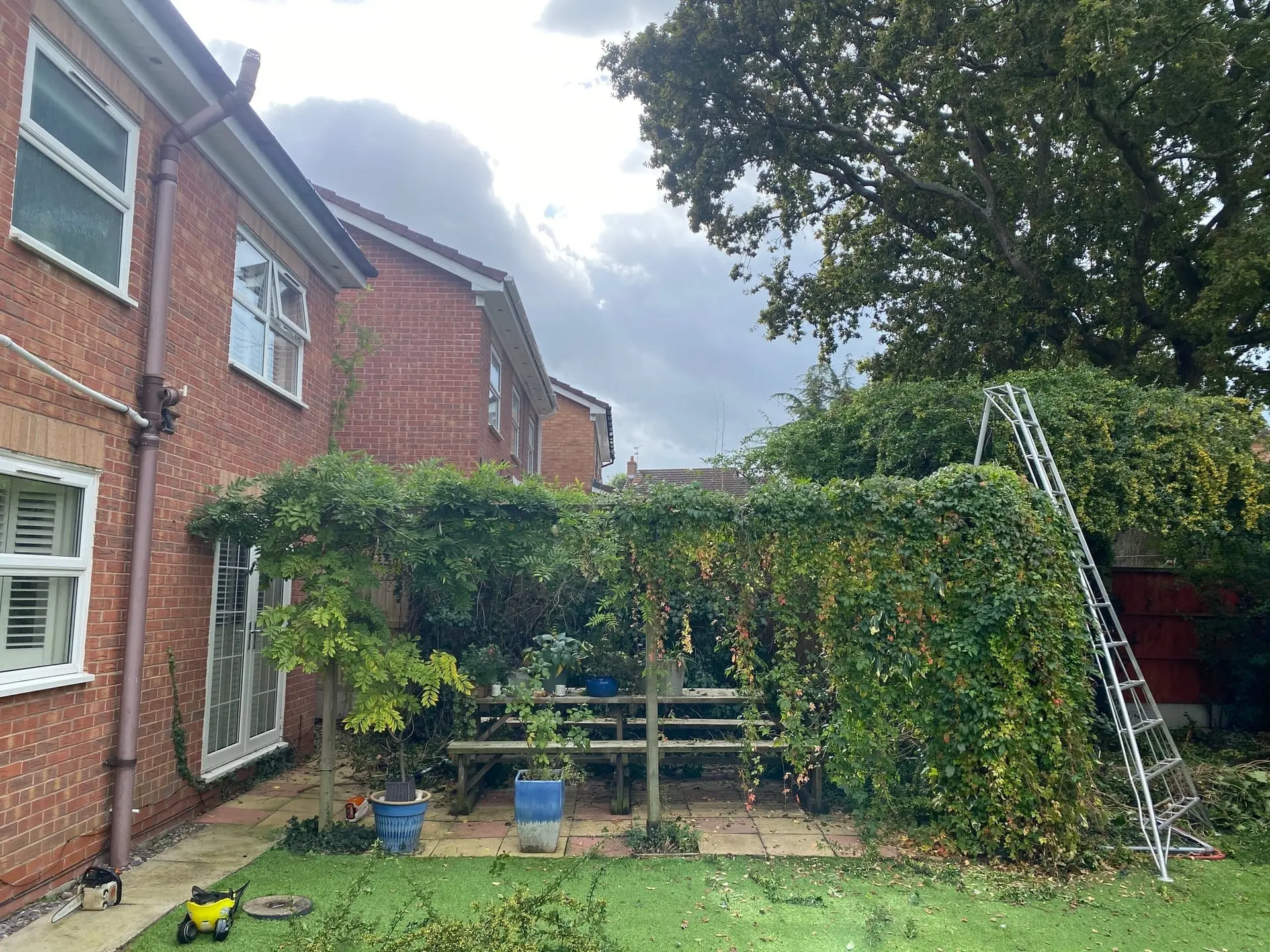 Pergola and outdoor dining area after ivy was removed and surrounding growth cut back