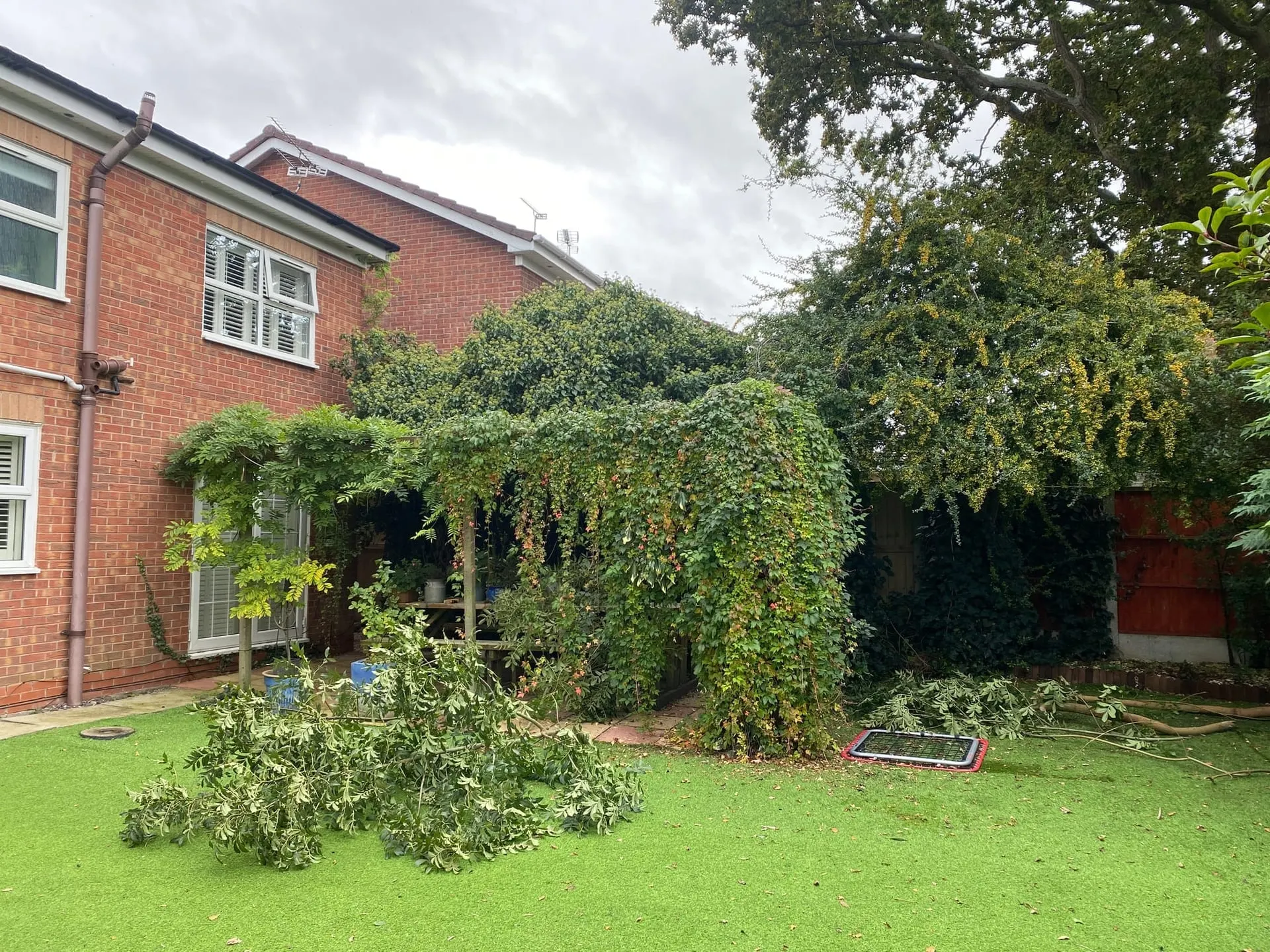 Overgrown pergola and cut branches across the Wistaston garden before the makeover
