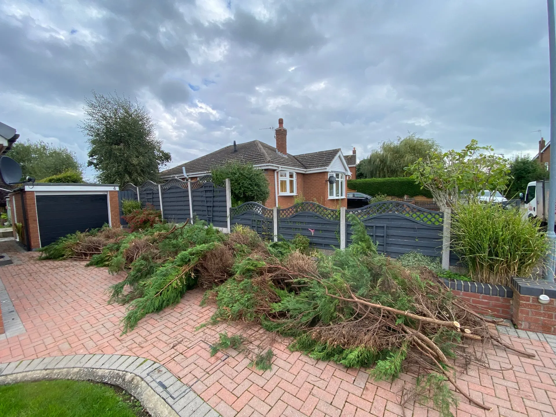 Cut conifer branches gathered on the paved area during hedge removal