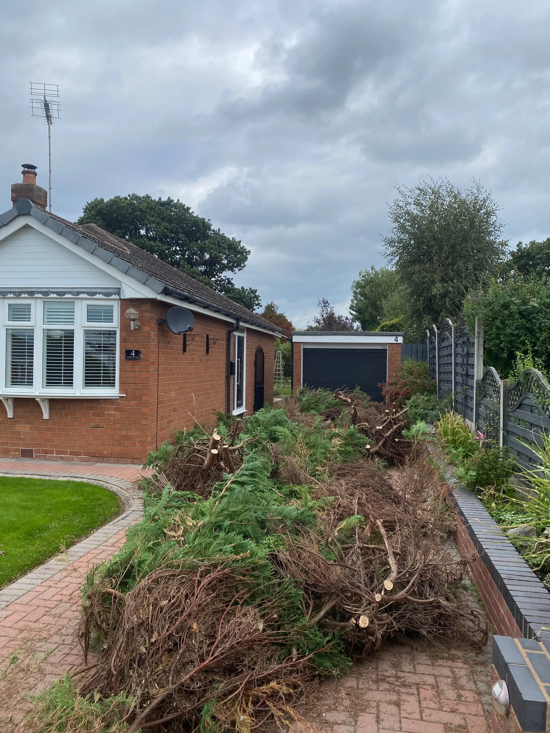 Conifer sections stacked ready for clearing as the hedge is dismantled