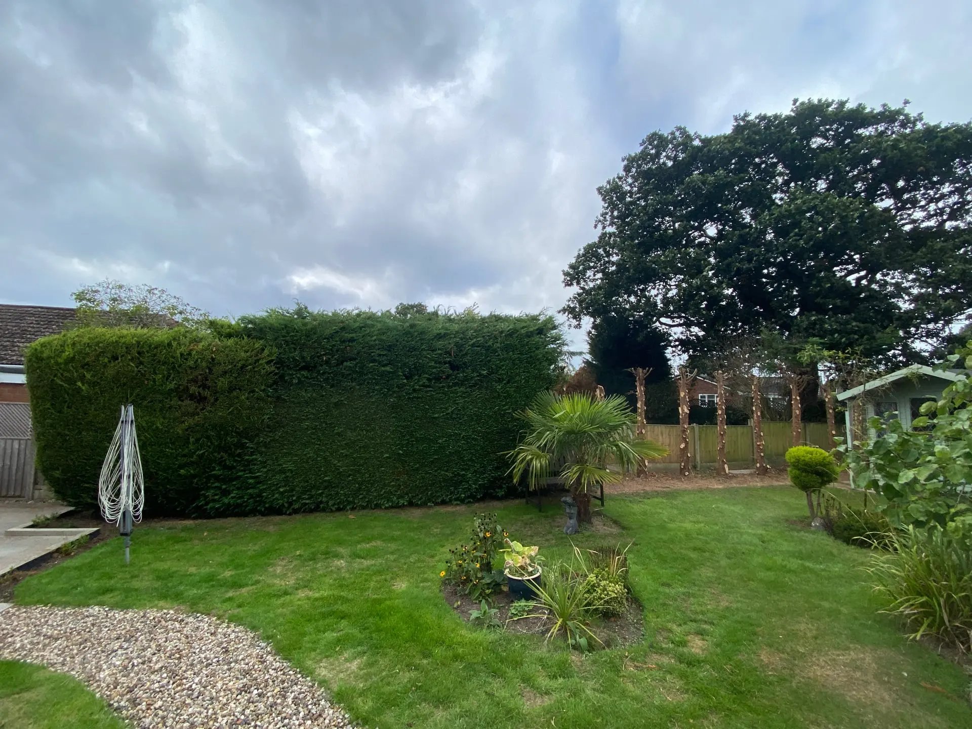 Wide garden view showing the opened boundary and remaining conifer stems