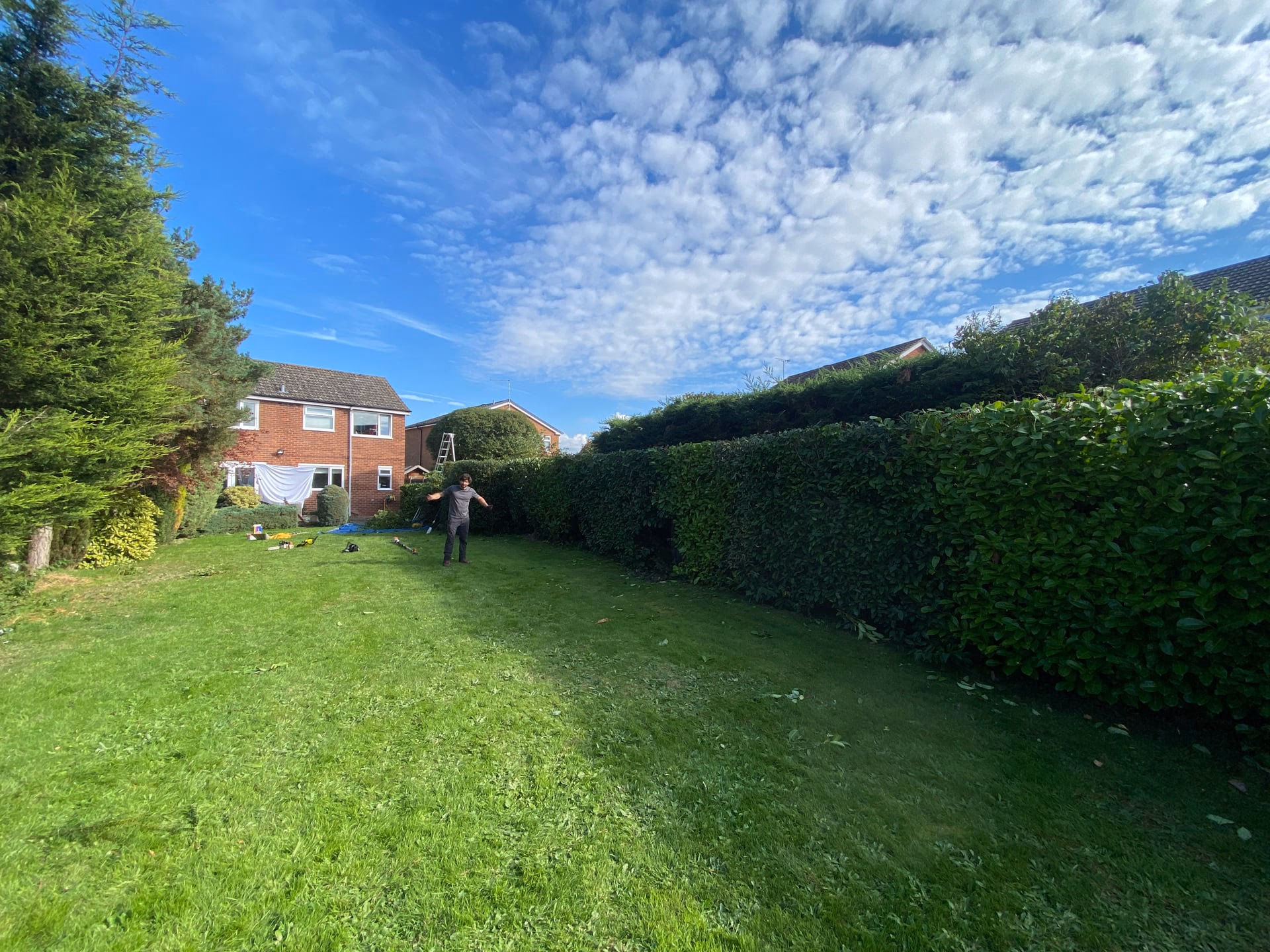 Tall boundary hedge in Willaston after being cut back and shaped