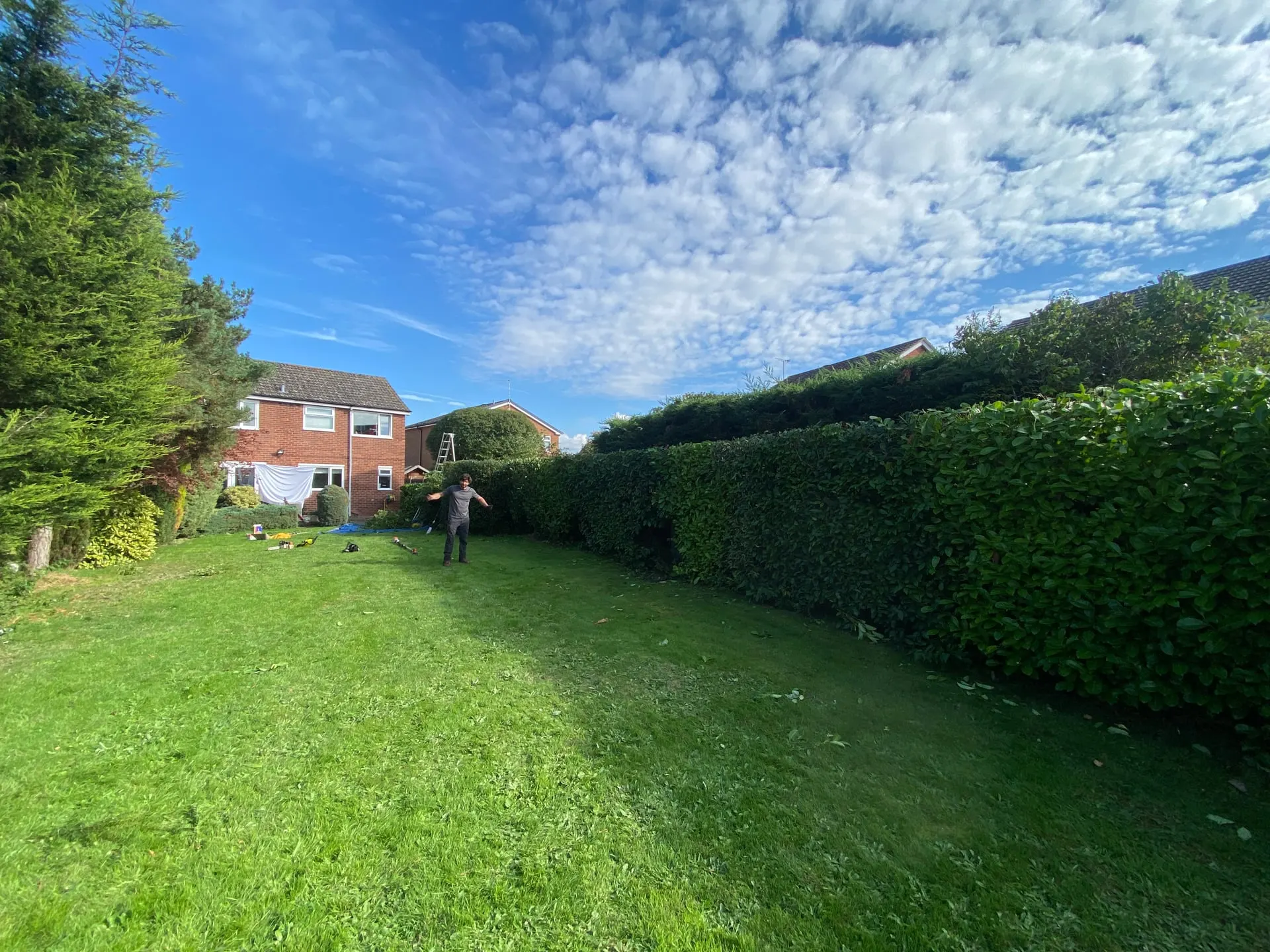 Tall boundary hedge in Willaston after being cut back and shaped