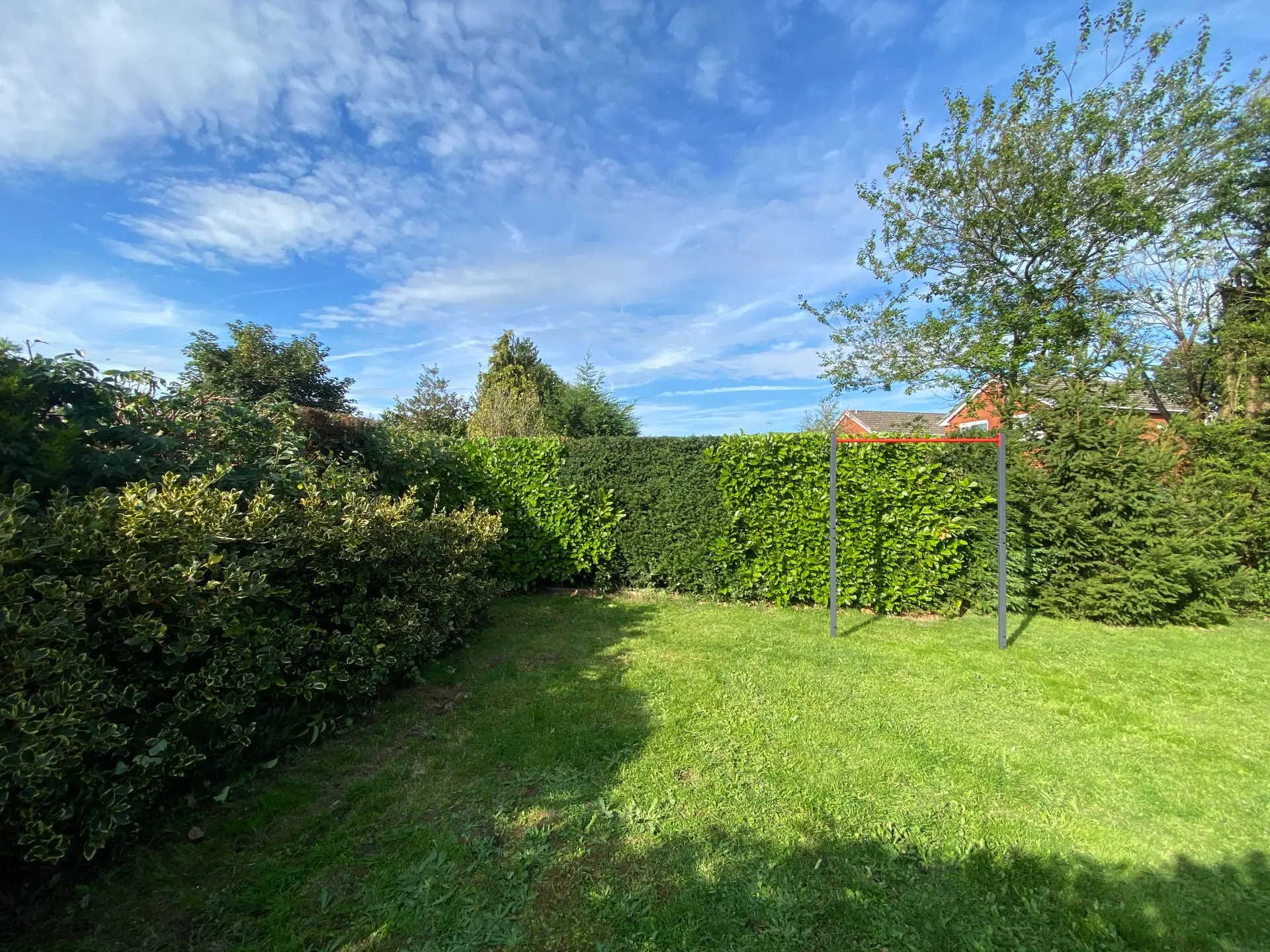 Wide view of the finished boundary hedge in the Willaston garden